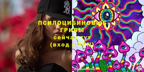 Альфа ПВП Алзамай