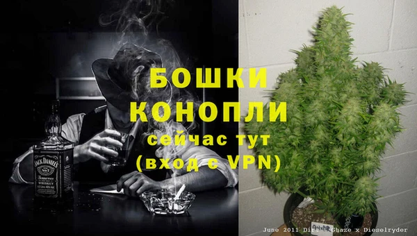 дурь Арсеньев