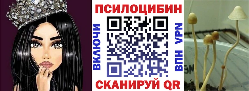 Псилоцибиновые грибы GOLDEN TEACHER  Новокубанск 
