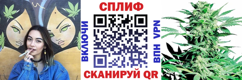 Каннабис план  Новокубанск 